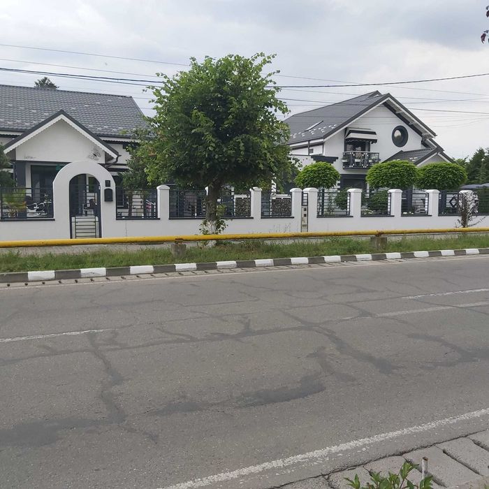 Casa P+1 cu anexe