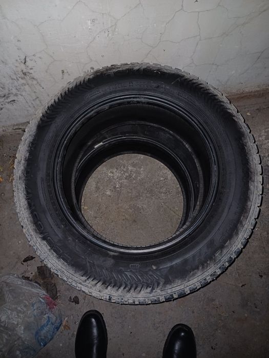 Продаю шины недорого