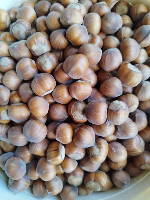 Alune de pădure,bio