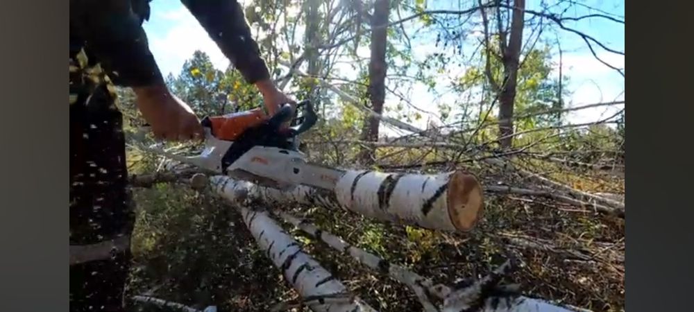 Утин кесиш хизмати