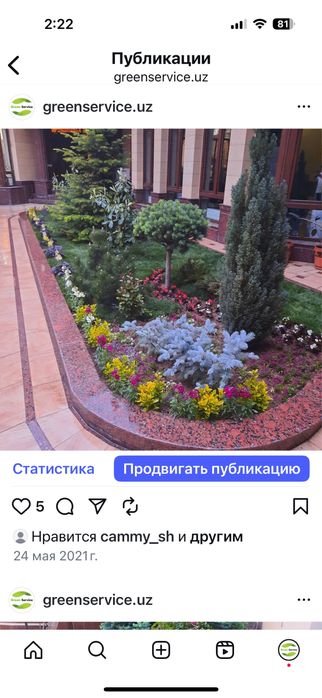 Газоны.Ландшафтный дизайн.Фонтанчики.