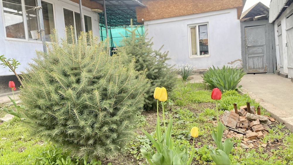 СРОЧНО, СРОЧНО продам дом в Каскелене