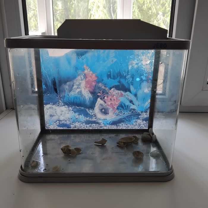 Заводской аквариум Jebo