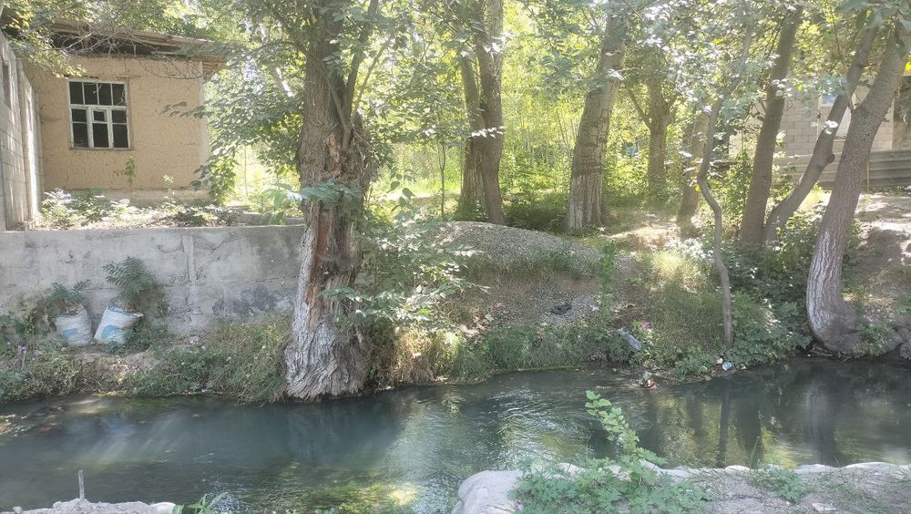 Hovli uy, Dacha/ Ховли үй, Дача