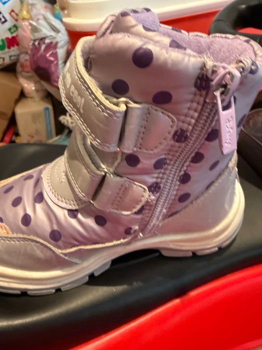 Апрески леденото кралство