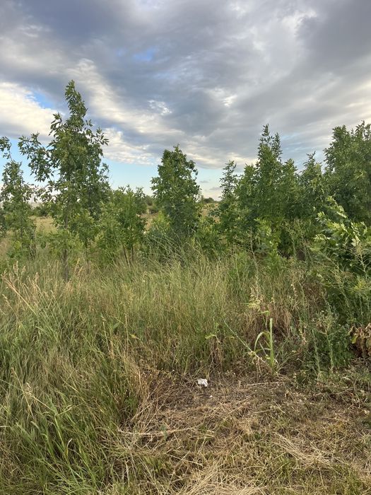 Teren de vanzare Pielesti, 6300 m2, cu descidere 33 de ml , la DN 65, Craiova-Pitesti!