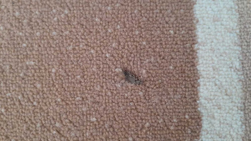 Коверь светлый размер 3,5х2,5