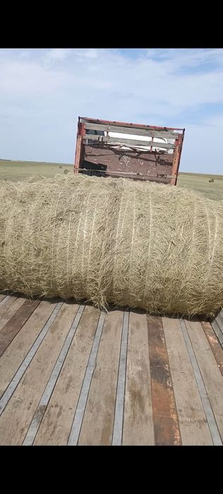 Продам сено в рулонах с доставкой