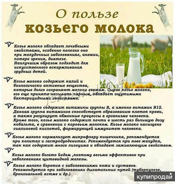 Продам козье молоко.