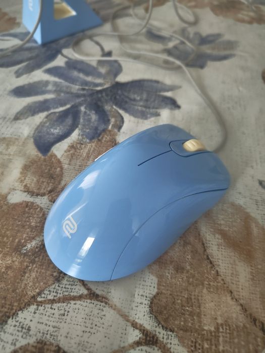 Zowie ec2-b divina mouse и bungee