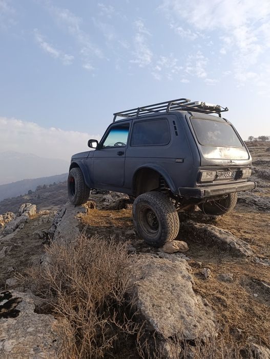 Нива (готовый проект)