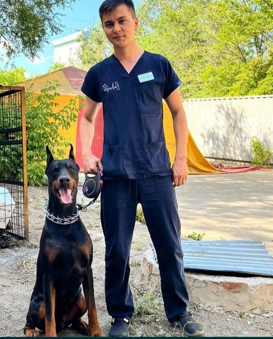 Ветеринар на выезд