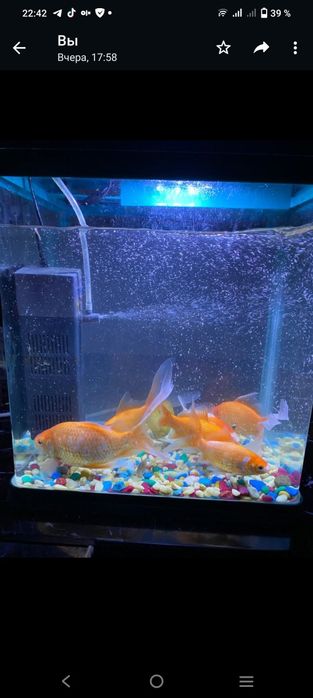 Продается новый аквариум