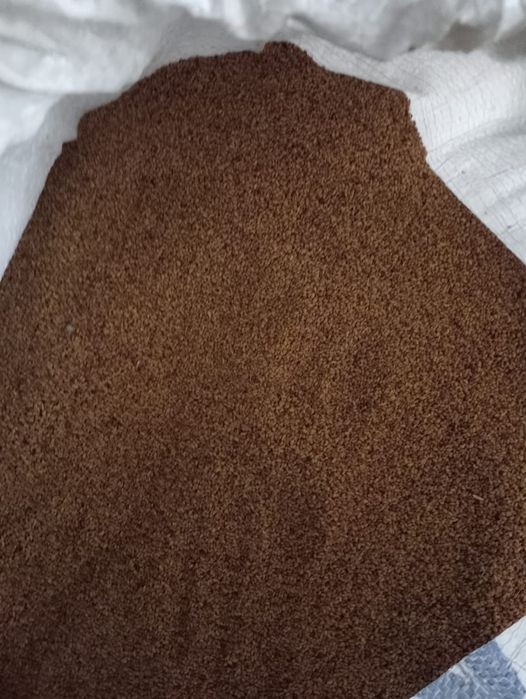 Жоңашқа ұрығын сатамын