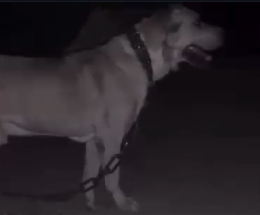 Продается Моторола