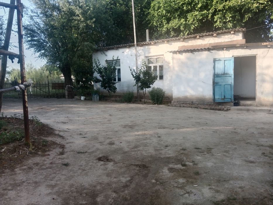 Ташкент в Бука Бука мфй қудайқул махалласи