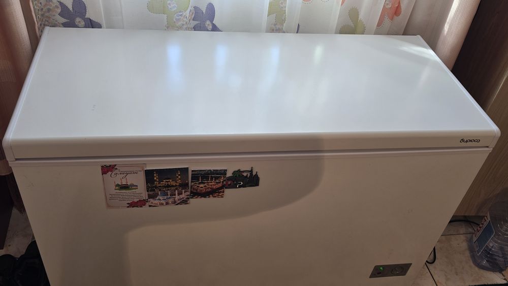 Маразилник Бирюса