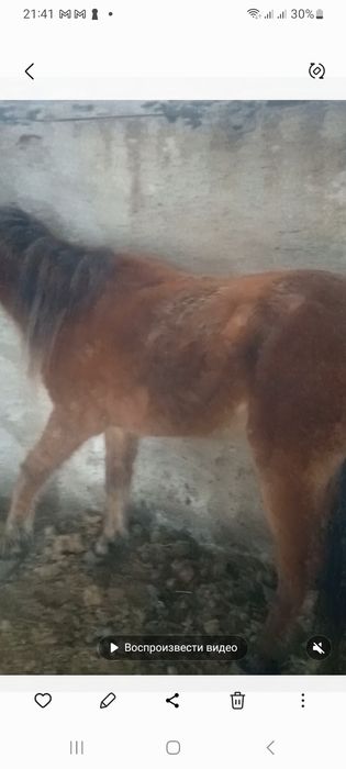 Продам бие обмен