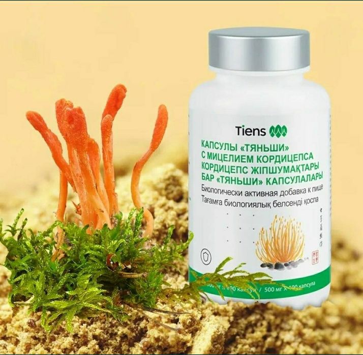 Кордицепс "Тяньши"
