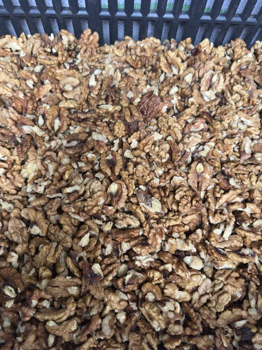 Miez de nuca din 2025