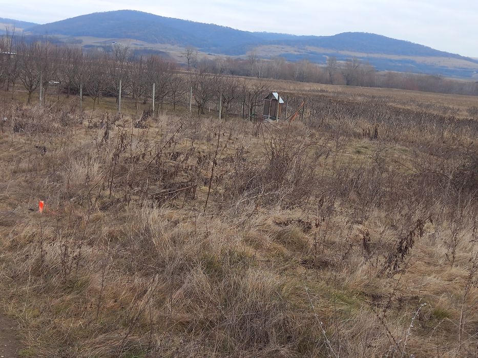 Teren intravilan cu acte la zi