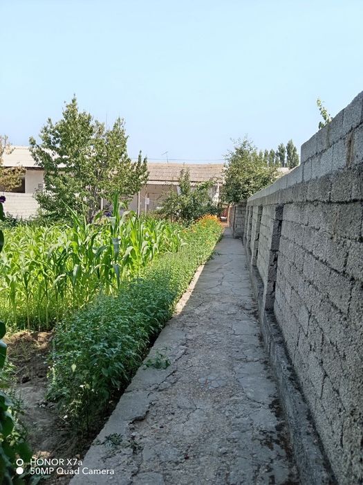 FOOD CITI Sergili Yangi Xayot 5 - Sotux 3 - xona