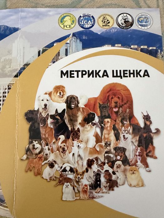 Среднеазиатская овчарка