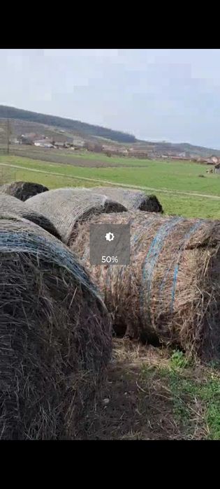 Vând baloți lucerna