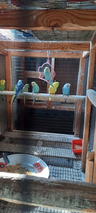 Радужныйлар  сотилади