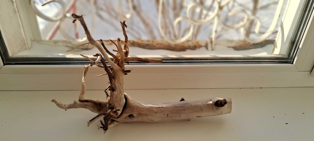 Коряга в аквариум