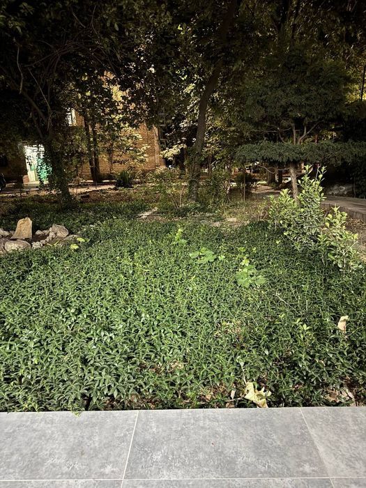 Офис Ц-1 Street 77  65 м2