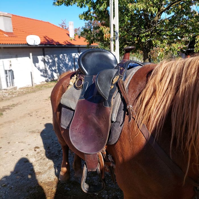 De vanzare sa Australina