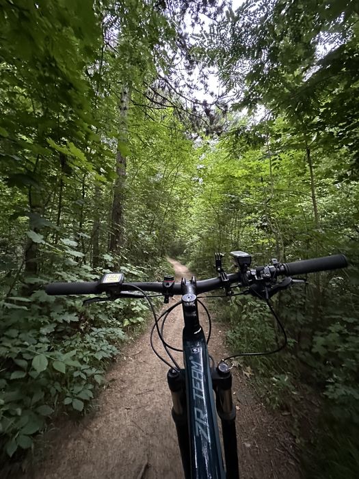 Vand bicicleta Radon PERFORMANCE 7.0 500