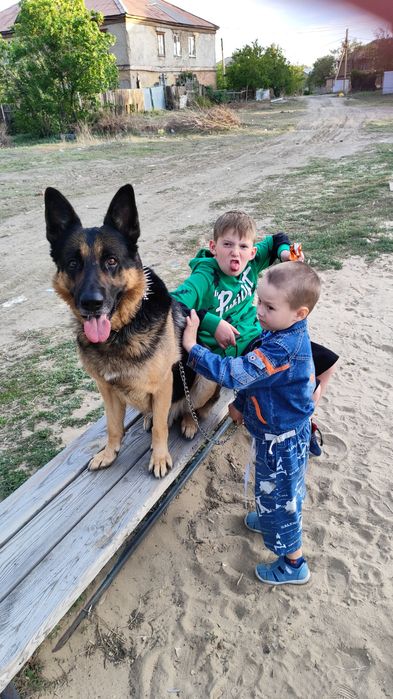 Срочно мальчик ищет девочку