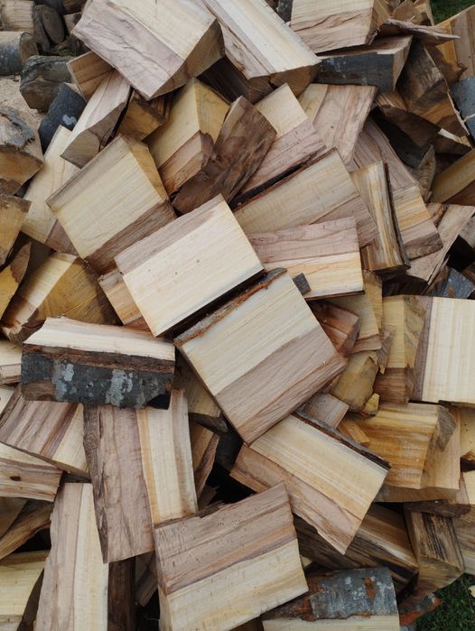 Lemne de foc fag capete uscate sau verzi 600.lei tona