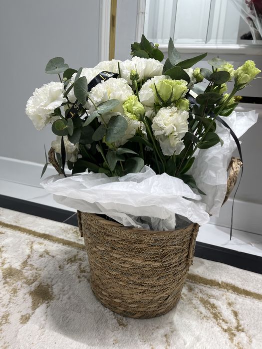 Продам цветы свежий