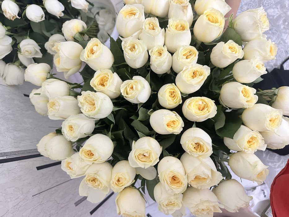 Цветы Гүлдер 51 шт роза