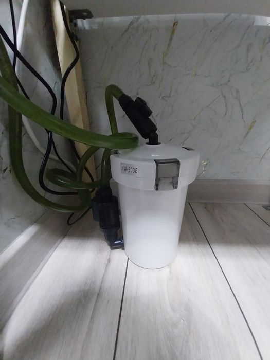 Грифовая черепаха