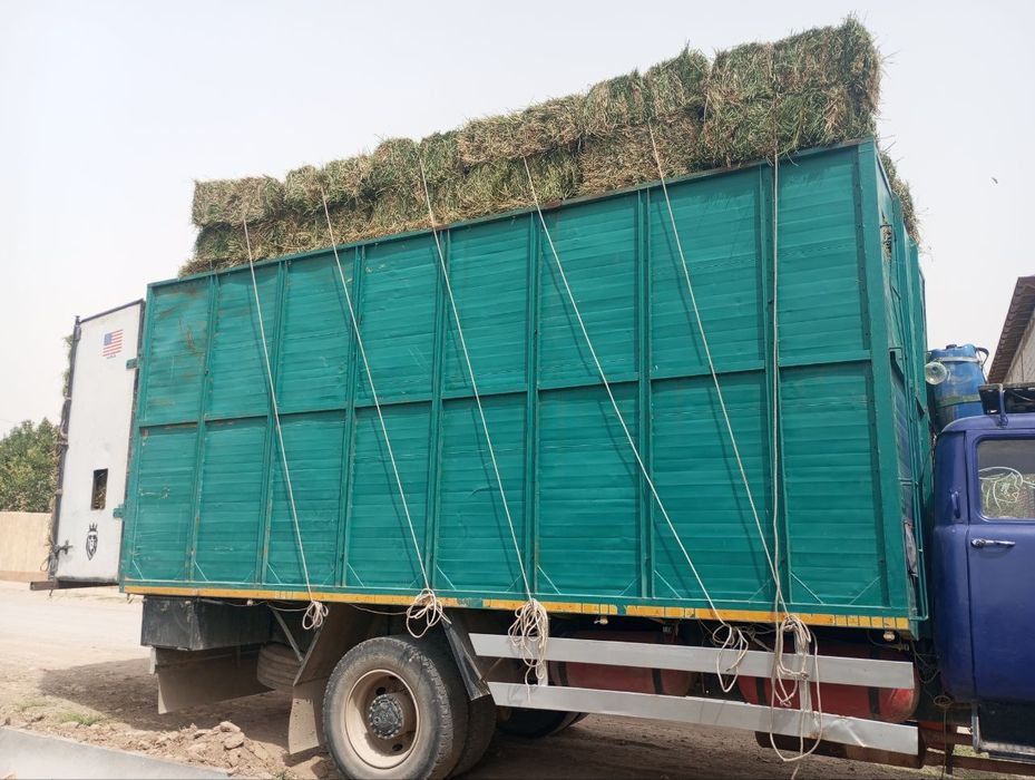 Zil 138.  Zo'r moshina naxadu