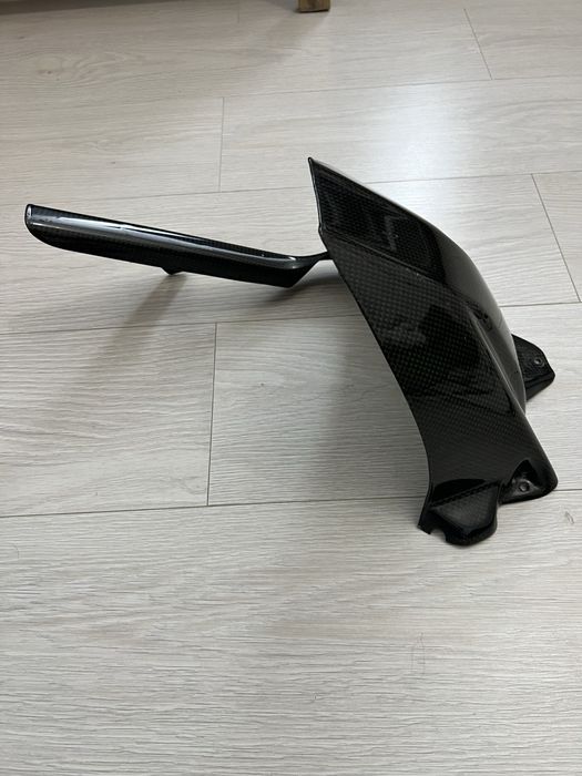Aripa spate carbon Bmw S1000R