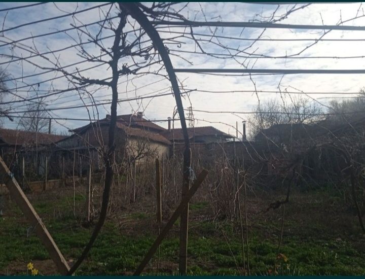 Имот Село Каменец