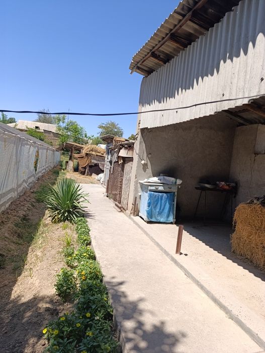 Чиназ тумани, Алмазар қирғонида 8 хонали  20 сотих ҳовли-сотилади!