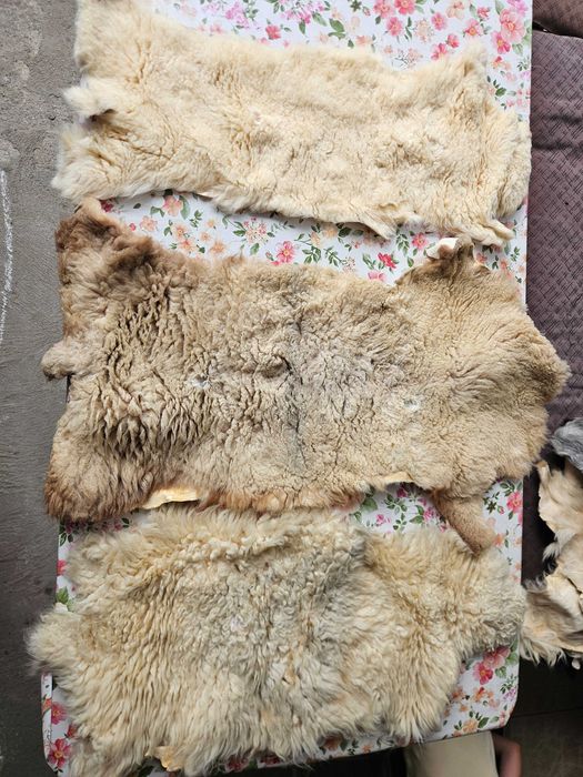 Piei tabacite si blanuri de miel si ied