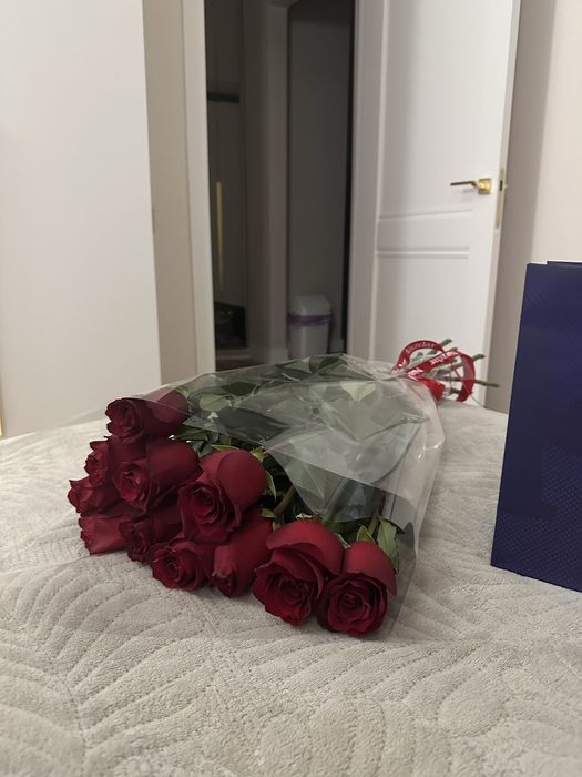 11 роз букет красные