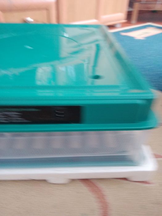 Брудер с циплятами