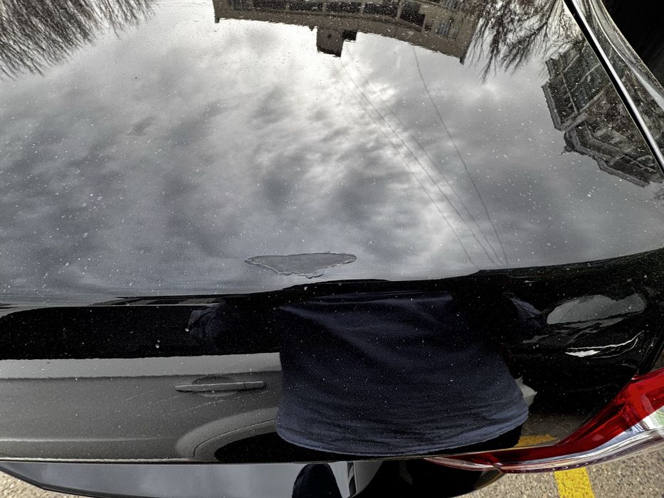 Cobalt Darkmoon Blue