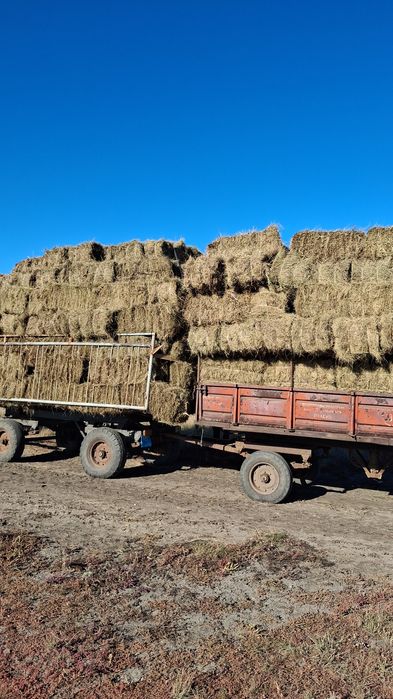 Продам сено разнатраве