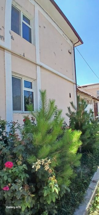 Bo'z-suda namunali uy