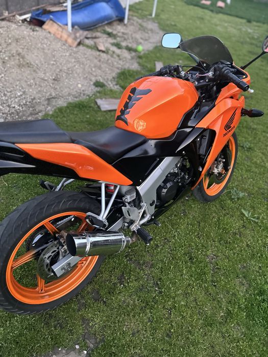 Cap de toba Dejukevic de vanzare