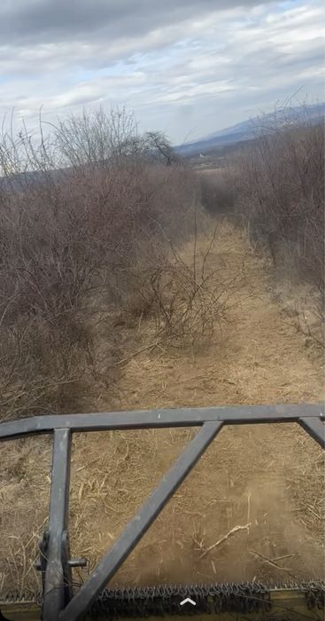 Tocatoare forestiera zanon